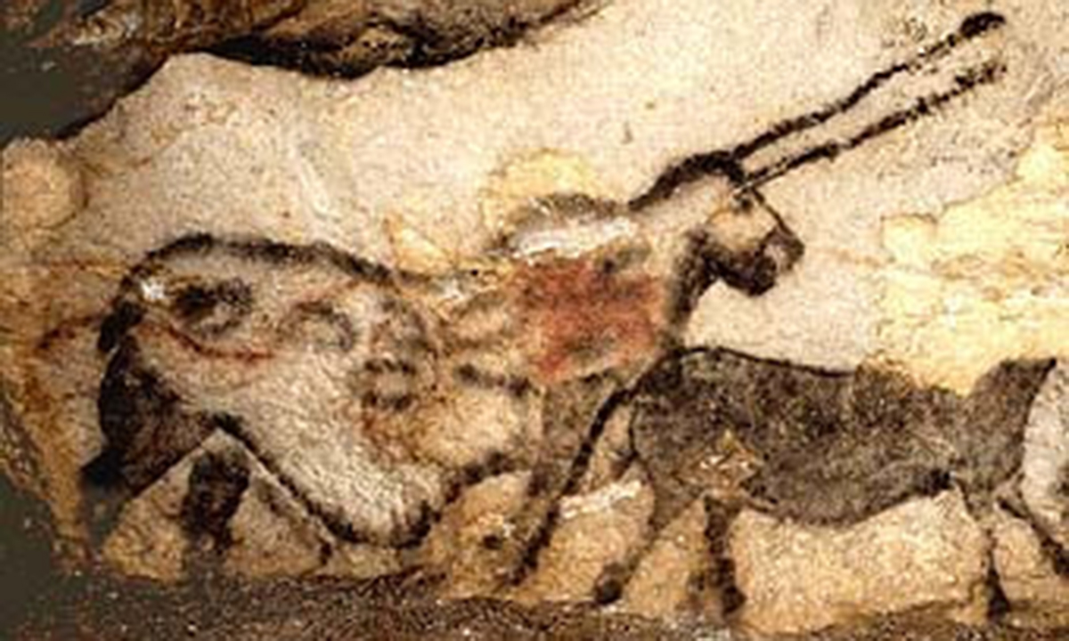 Un fungo killer nella grotta di Lascaux