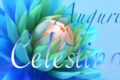 Immagini auguri buon onomastico Celestino