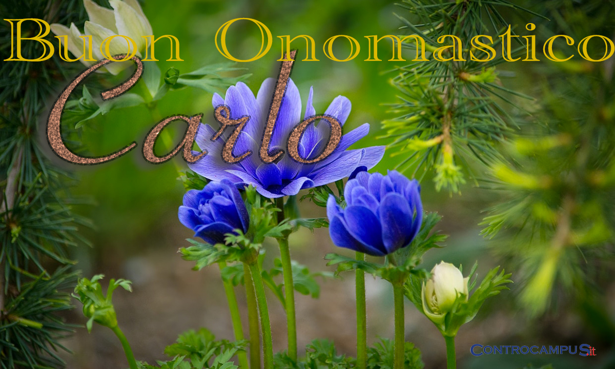 Immagini auguri buon onomastico San Carlo