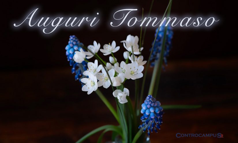 Immagini auguri onomastico Tommaso