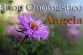 Immagini auguri onomastico per Sant Angela