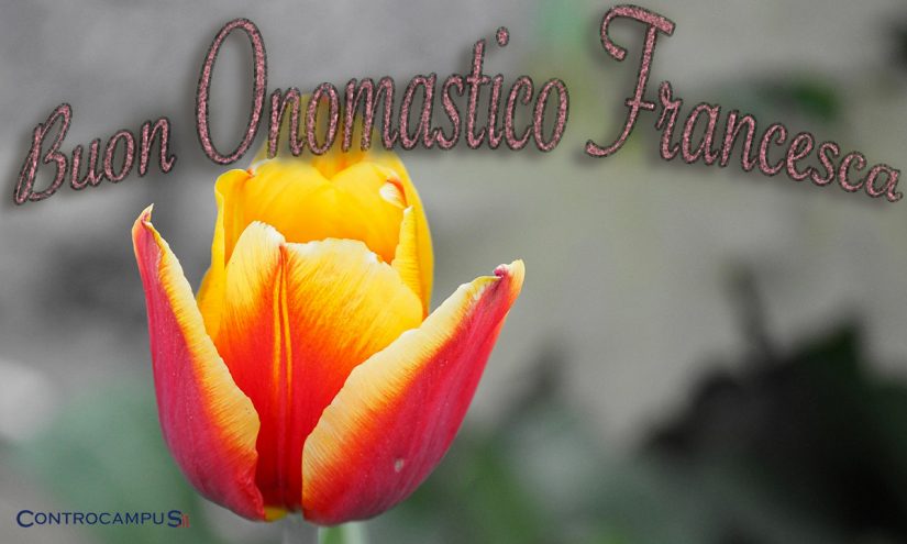 Immagini auguri buon onomastico Francesca