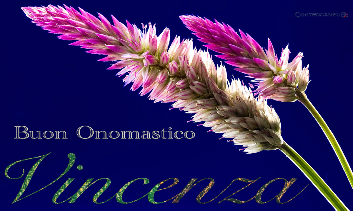 Immagini Auguri Onomastico Vincenza