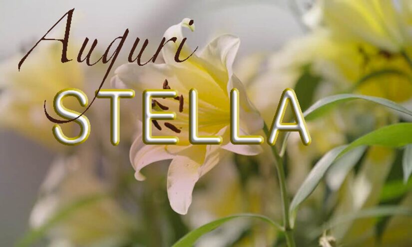 Immagini di buon Onomastico Stella