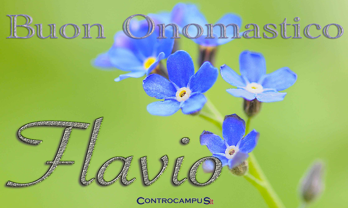 Immagini Auguri Buon Onomastico Flavio
