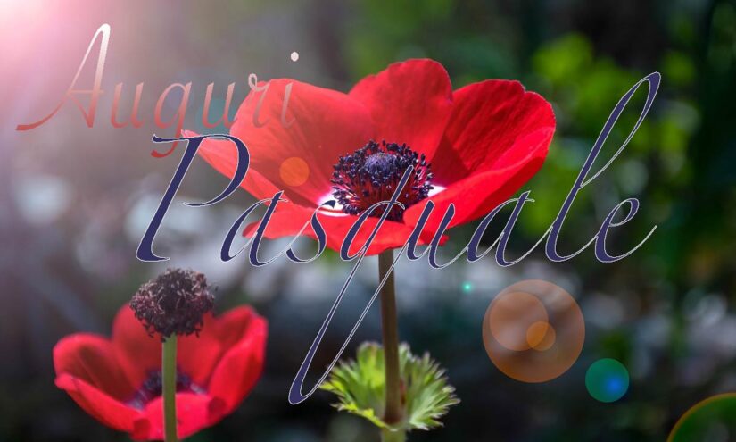 Immagini auguri Buon Onomastico per San Pasquale