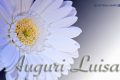 Immagini Auguri Buon Onomastico Luisa