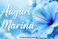 Immagini auguri Onomastico Marina
