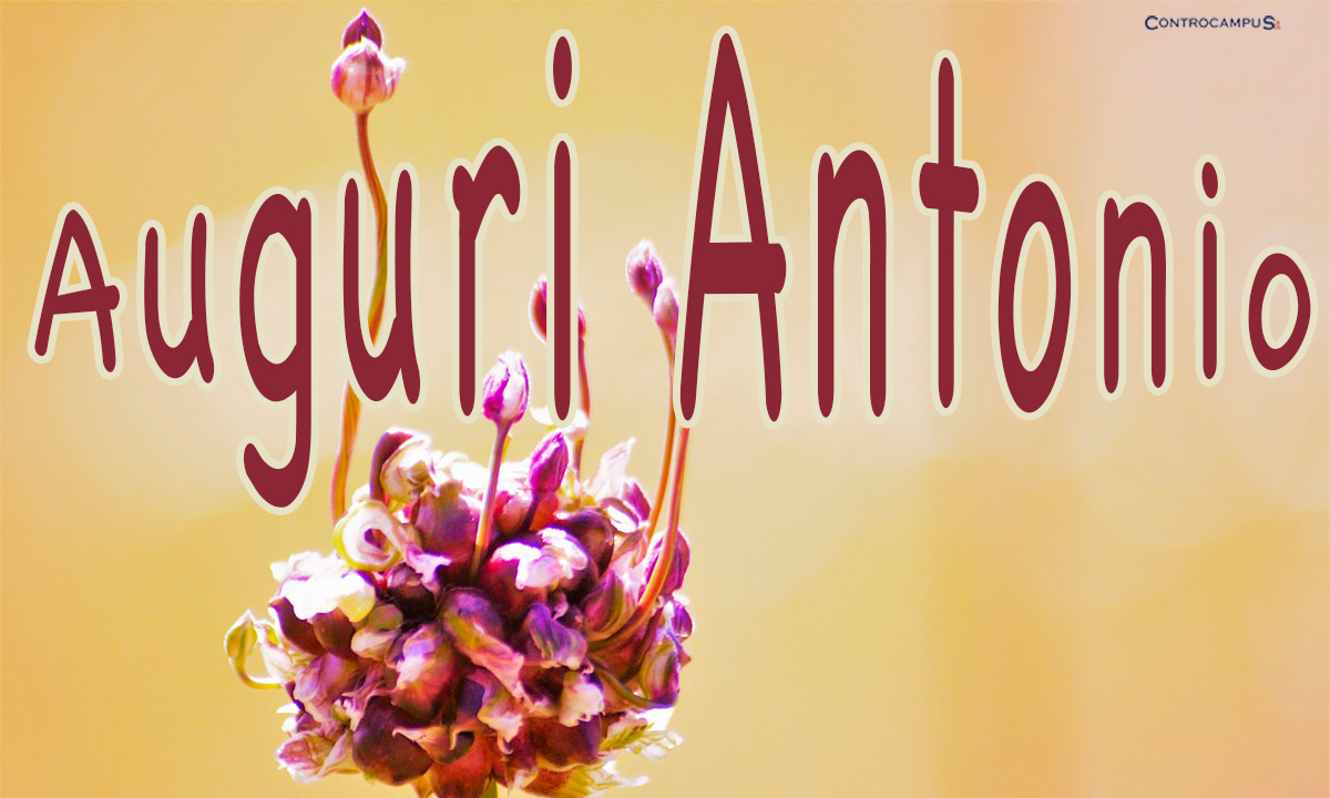 Immagini Auguri Onomastico Antonio