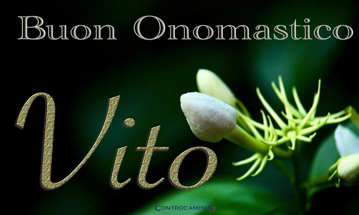 Immagini Auguri Onomastico Vito