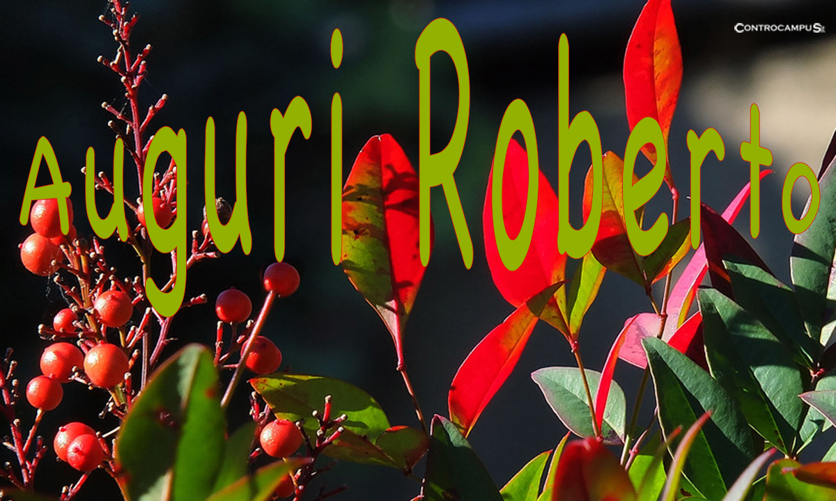 Immagini Auguri Buon Onomastico Roberto