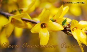 Immagini Auguri Buon Onomastico Carmela