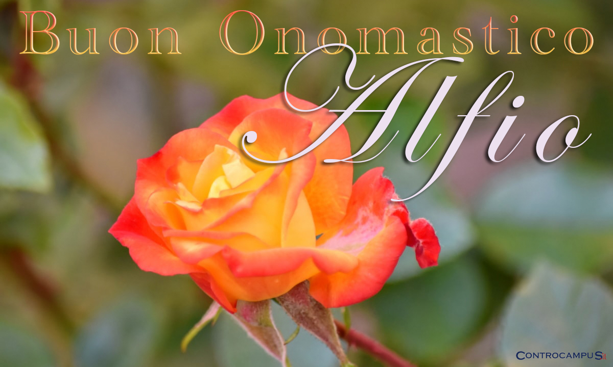 Immagini auguri buon onomastico Alfonso