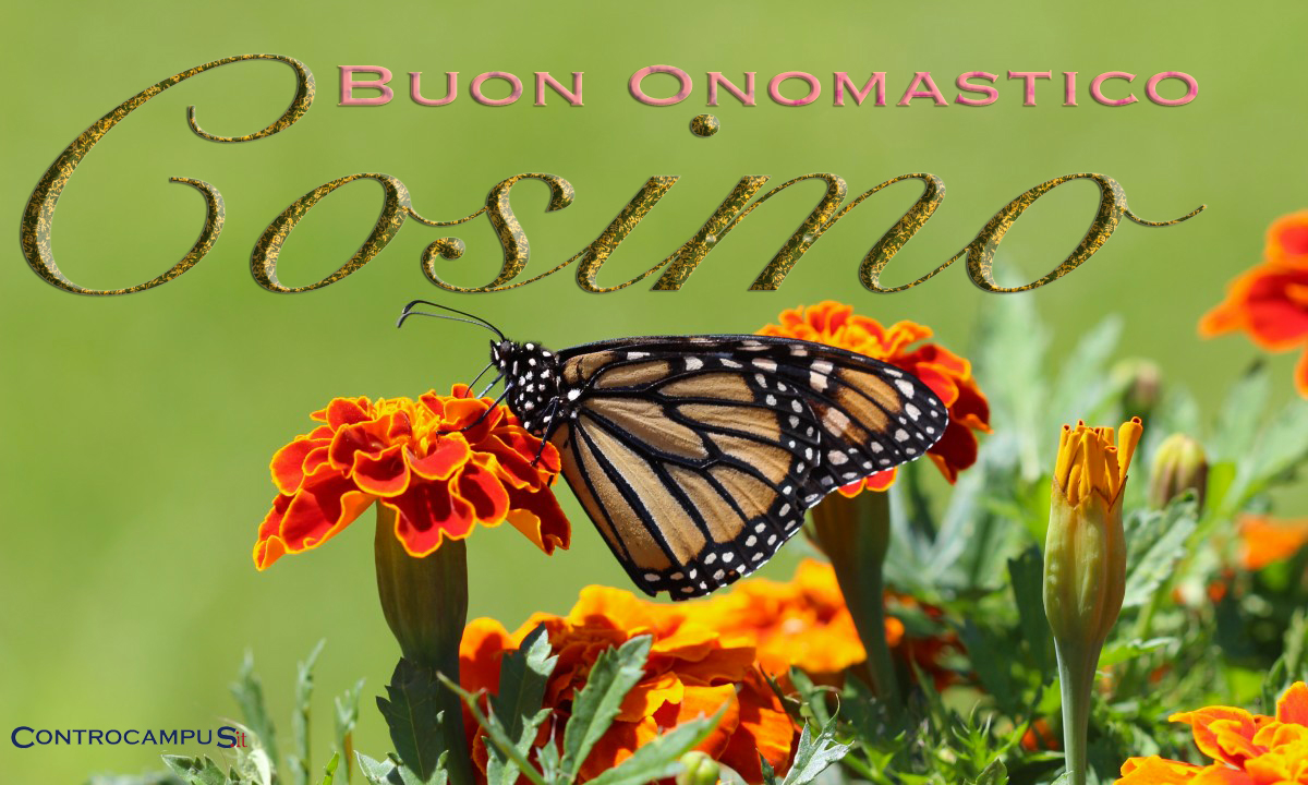 Immagini auguri buon onomastico per San Cosimo