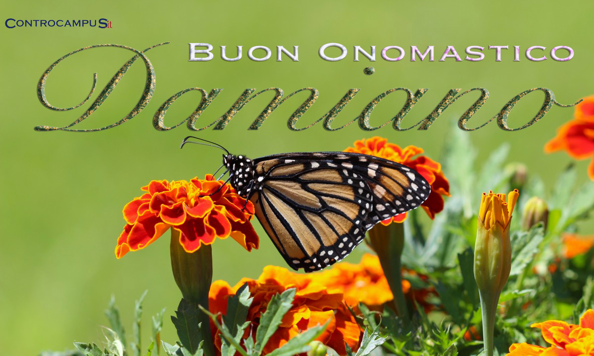 Immagini auguri buon onomastico per San Damiano