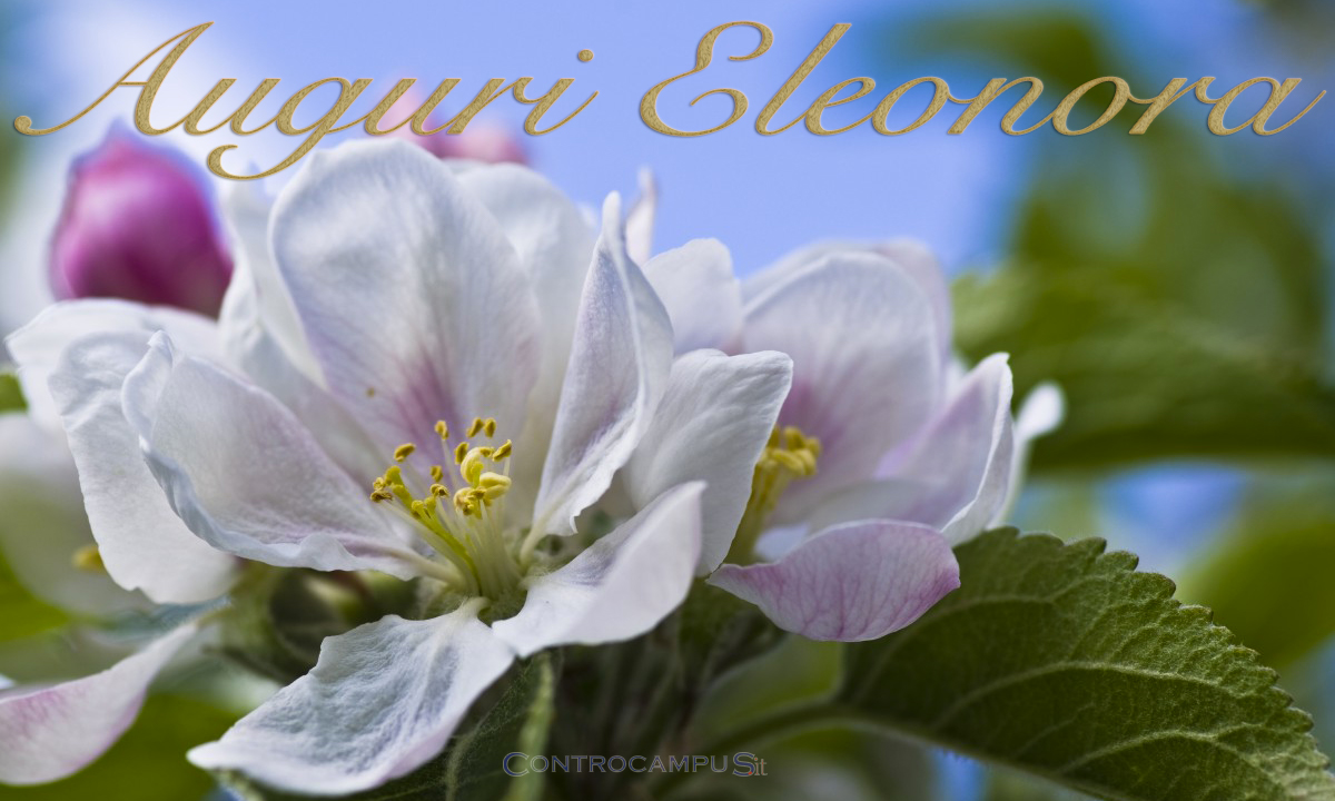 Immagini auguri Onomastico Eleonora