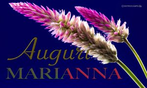 Immagini Auguri Onomastico Marianna