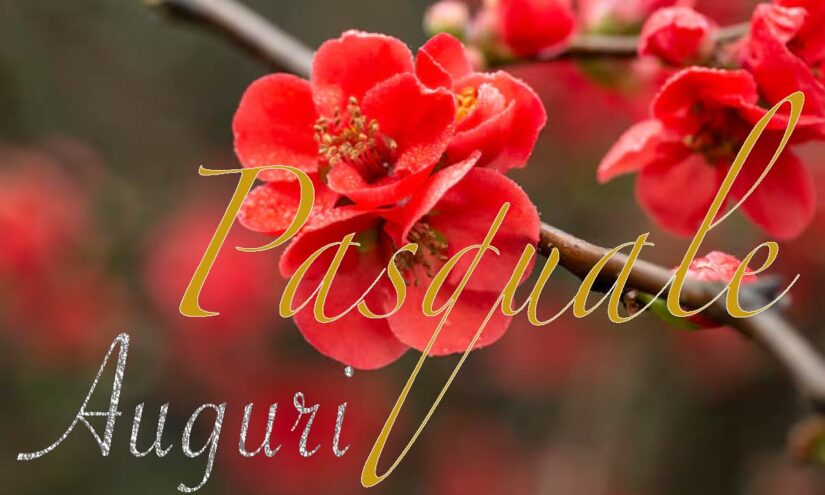 Immagini Auguri Buon Onomastico Pasquale