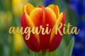 Immagini auguri onomastico per Santa Rita