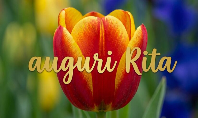 Immagini auguri onomastico per Santa Rita