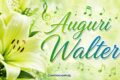 Immagini auguri onomastico Walter