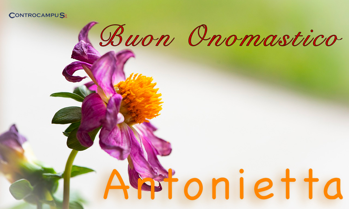 Immagini Auguri Onomastico Antonia e Antonietta