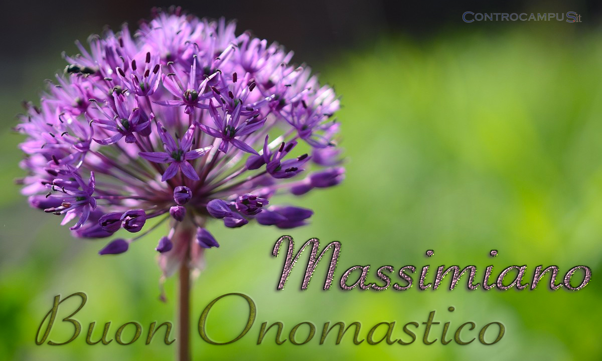 Immagini auguri onomastico per San Massimiano