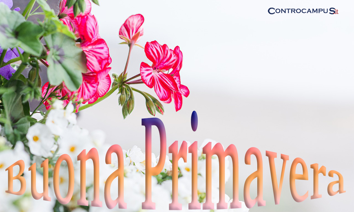 Immagini auguri di buona primavera belli