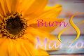 Immagini per messaggi di buona festa della donna speciali