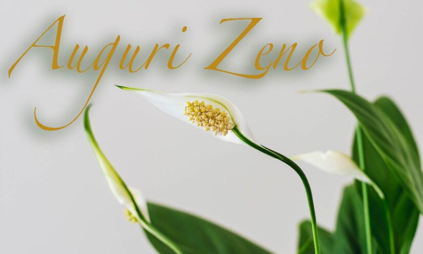 Auguri per San Zeno