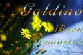 Immagini auguri buon onomastico per San Galdino
