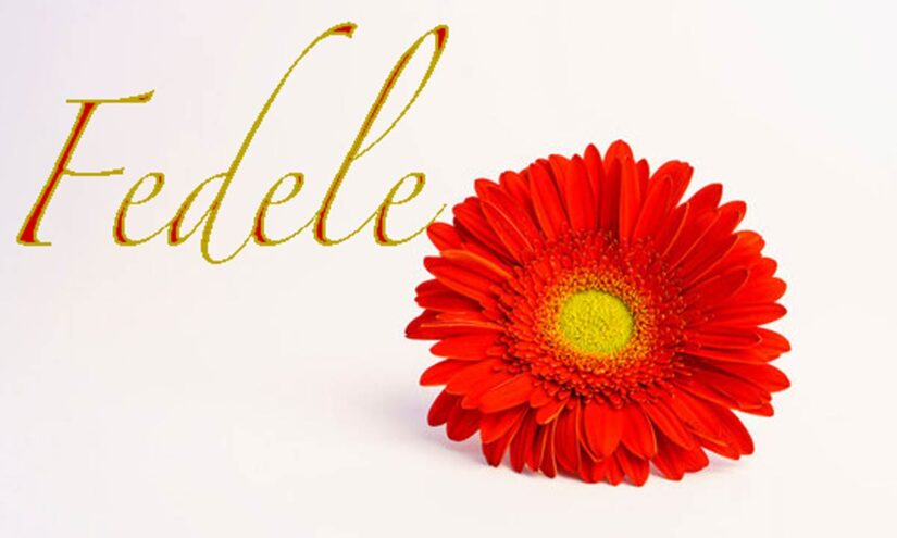 Immagine Auguri per San Fedele