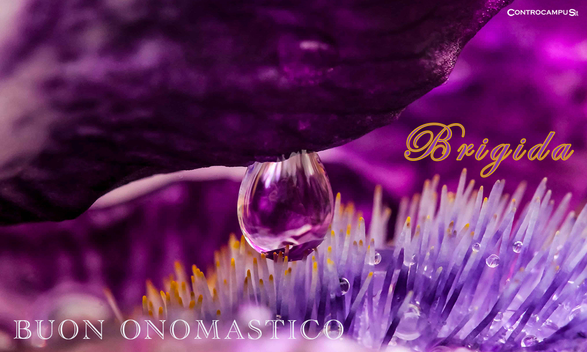 Immagini auguri buon onomastico per Santa Brigida