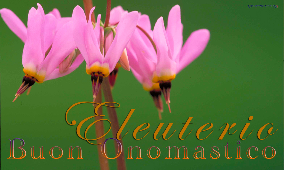 Immagini auguri buon onomastico per Sant Eleuterio