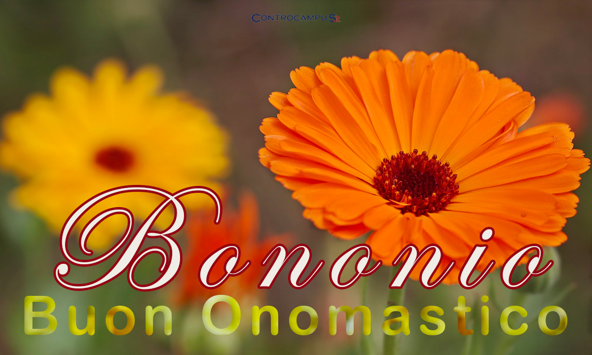 Immagini auguri buon onomastico per San Bononio