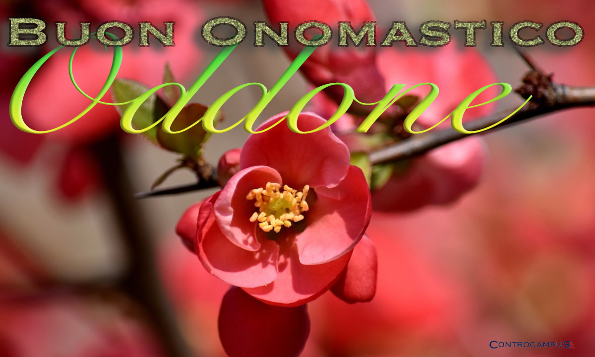 Immagine auguri onomastico Sant Oddone