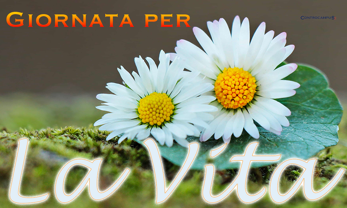 Giornata per la vita