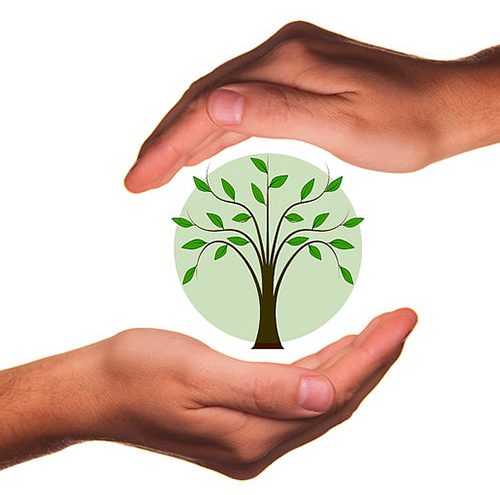 Giornata internazionale della diversità biologica