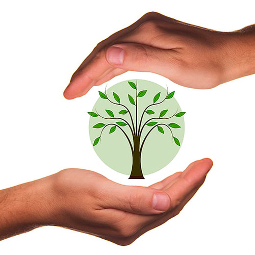 Giornata internazionale della diversità biologica