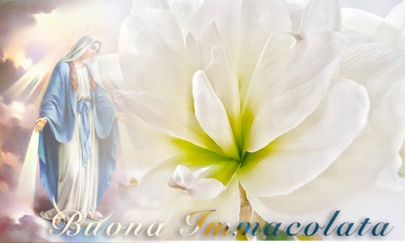 Immagini buona Immacolata a tutti