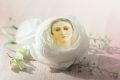 Immagini di buona Immacolata Concezione