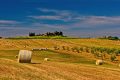 Bonus agricoli operatori e braccianti stagionali