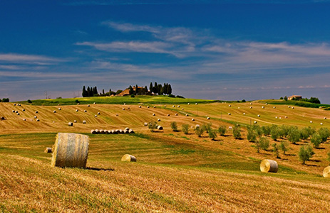 Bonus agricoli operatori e braccianti stagionali