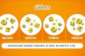 Estrazioni del Lotto 4 febbraio 2025