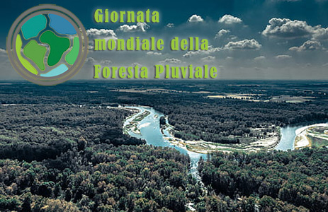 Giornata mondiale della Foresta Pluviale