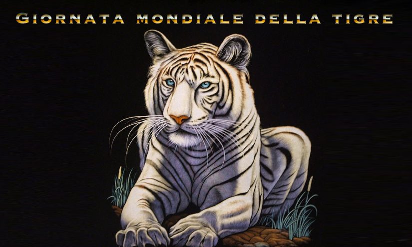 Immagini giornata mondiale della tigre