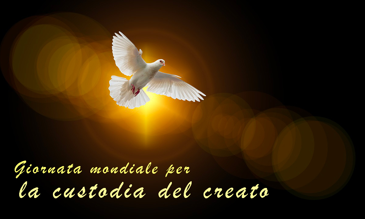 Immagini Giornata mondiale per la custodia del creato