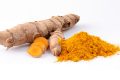 Curcuma