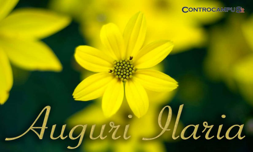 Immagini auguri buon onomastico Ilaria