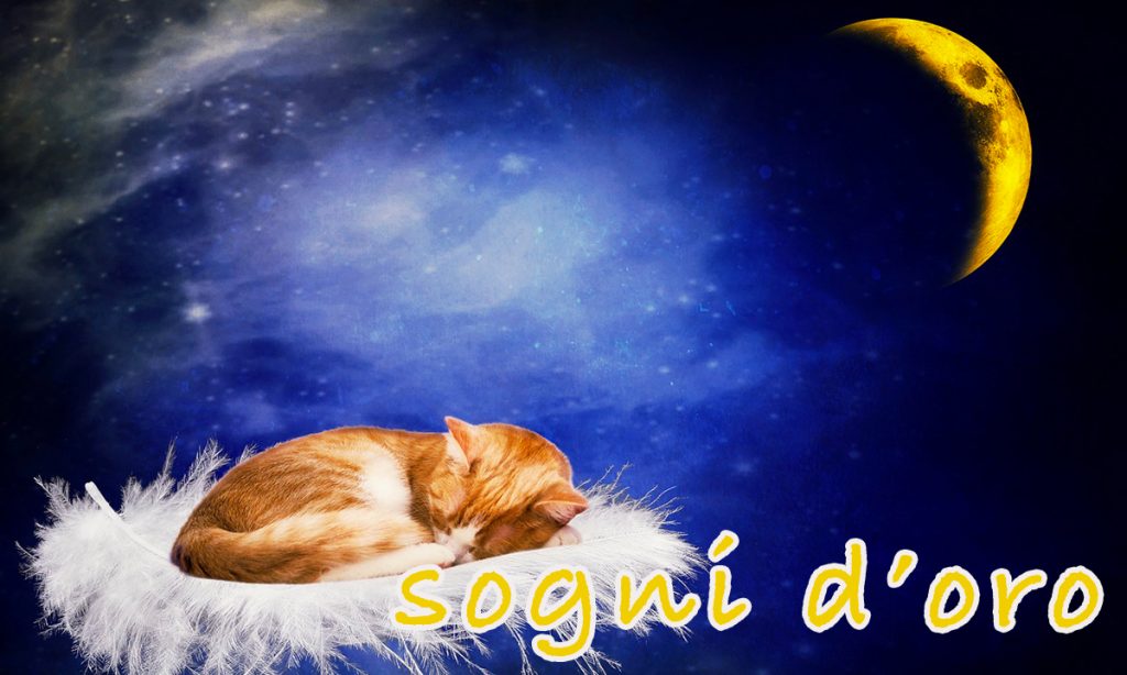 Immagini stati Facebook buonanotte